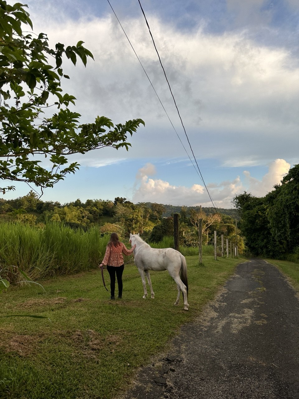 Diana with her horse on a farm lane
