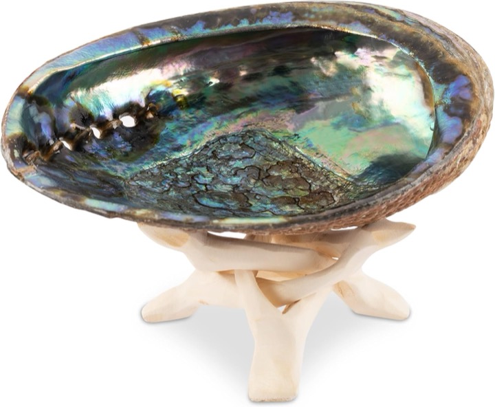 Wish Well Natural Abalone Shell with Wooden Stand